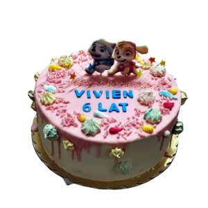 Tort dla dzieci wzór Td13 | Psi patrol z kolorowymi bezami