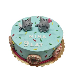 Tort dla dzieci wzór Td16 | szare kotki i donuty