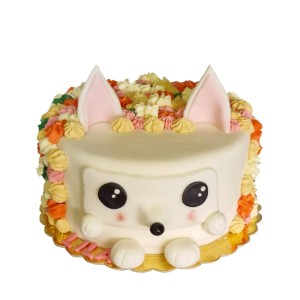 Tort dla dzieci wzór Td18 | kolorowy lisek